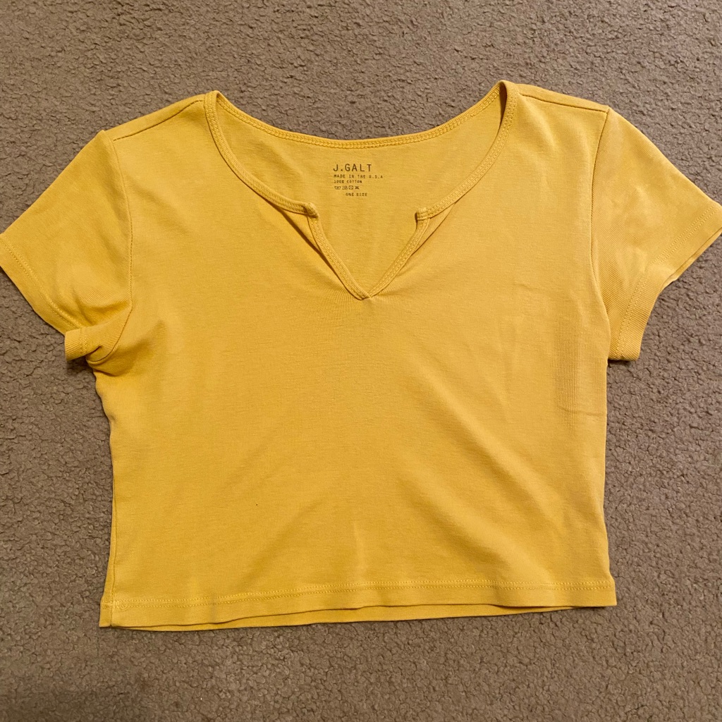 Brandy Melville Cropped Basic Tee!